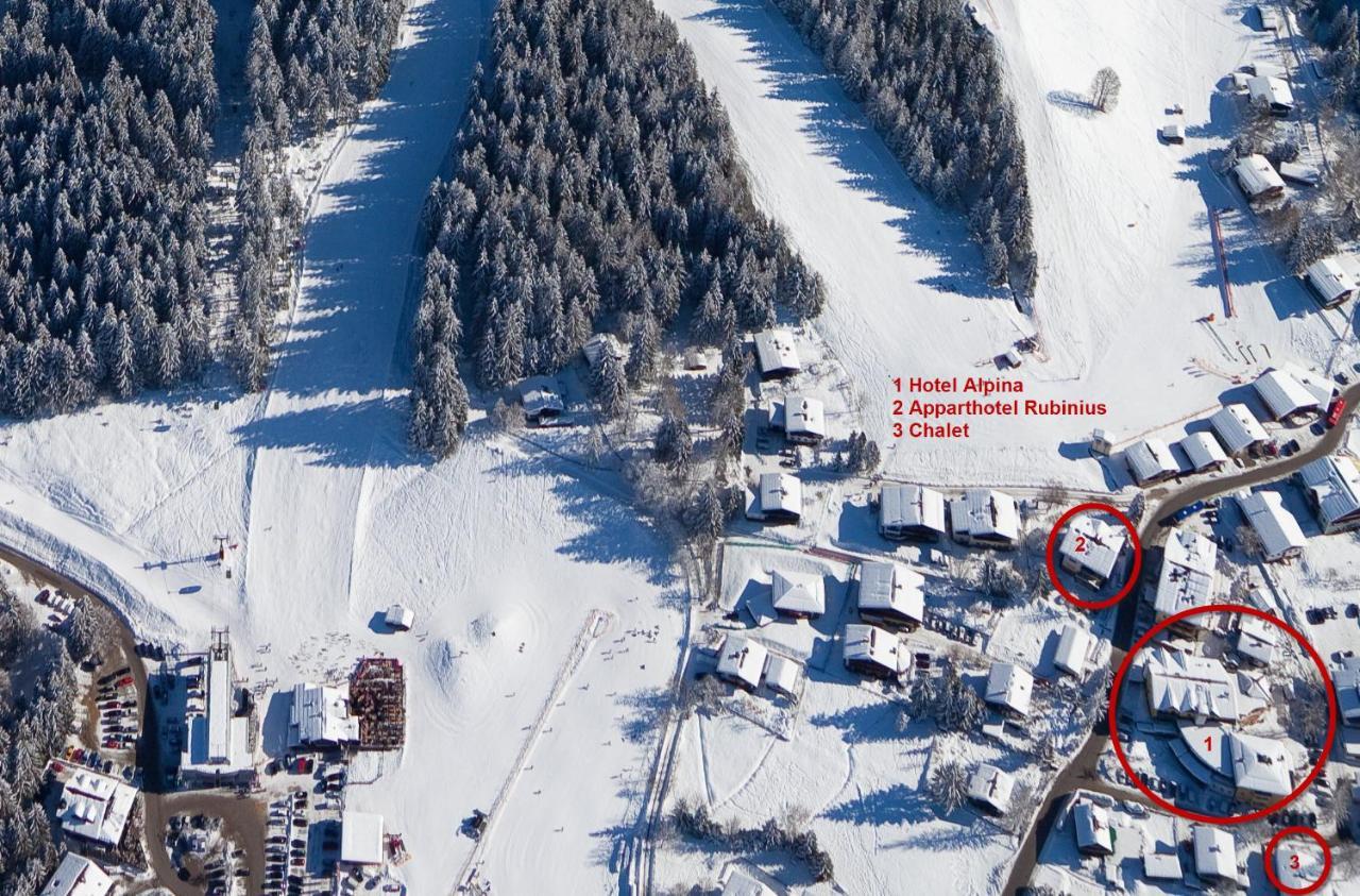 Alpina Hotel 4*